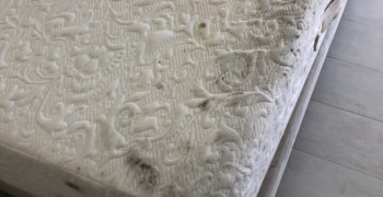 Thumbnail photo by Marie Perez of Luxury Van Lines