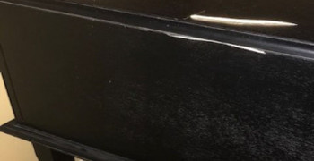 Thumbnail photo by Izzy Taylor of Dependable Movers LLC