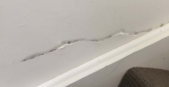 Thumbnail photo by Scott Martin of Grace Removals Group