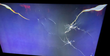 Thumbnail photo by Ronald Vernon of USA Logistics Moving