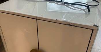 Thumbnail photo by Sanetta Williams of American Moving Experts LLC