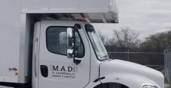 Thumbnail photo by Cameo Caccitolo of East Coast Moving & Storage