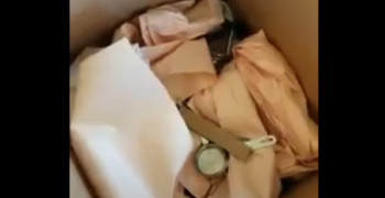 Second thumbnail photo by Nyc To Westchester of Shleppers Moving & Storage