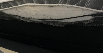 Second thumbnail photo by Kathy Helton of All American Moving and Storage Inc