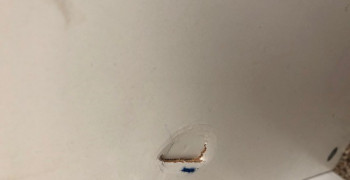 Second thumbnail photo by Michiyo Itaya of LA Moving Inc