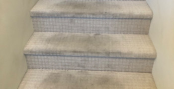 Thumbnail photo by Andy Sidhu of Diamond Relocation 