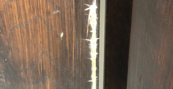 Thumbnail photo by Krissie Goring of MyMoovers