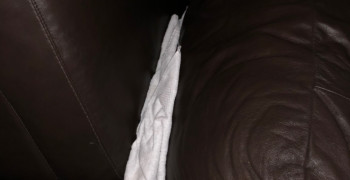 Second thumbnail photo by Jennifer Worley of Shleppers Moving & Storage