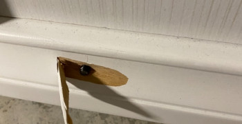 Second thumbnail photo by Nicole Russo of Nationwide Moving Services Inc