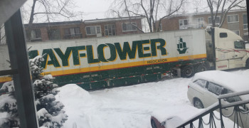 Thumbnail photo by Tatiana of Centennial Moving