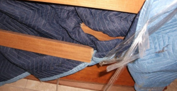 Second thumbnail photo by Painted Lady of Elite Moving & Storage Inc