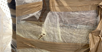 Thumbnail photo by Sydney Hone of Great American Van Lines