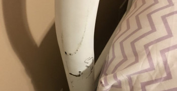 Thumbnail photo by Amanda of Two Men and a Truck