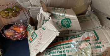 Thumbnail photo by Kimberly Stahmer of U.S. Standard Moving & Storage Corp