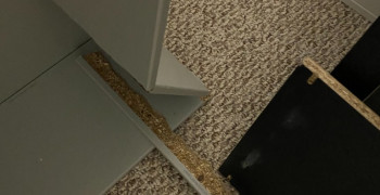 Second thumbnail photo by Sean Obrien of American Home Relocation