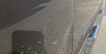 Second thumbnail photo by Nicole Hardin of Montway Auto Transport