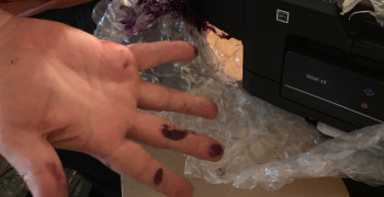 Second thumbnail photo by Ernesto Rodriguez of United Transportation Moving & Storage