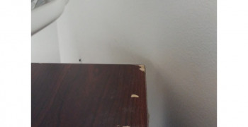 Thumbnail photo by Amy Dreyer of Atlantic Van Lines