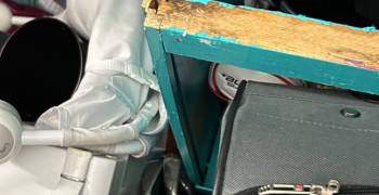 Second thumbnail photo by Erik Nguyen of Muscular Moving Men