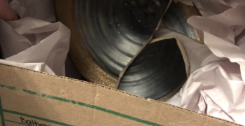 Thumbnail photo by Chrissy Chuchara of A1A Moving and Storage