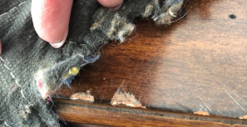 Thumbnail photo by Jessica Brozena of Interstate Moving & Relocation Group