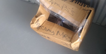 Thumbnail photo by Christella Mccray of Move Smart Relocation