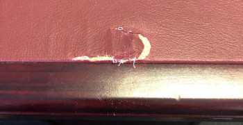 Thumbnail photo by Bruce Bedwell of CBD Movers AU