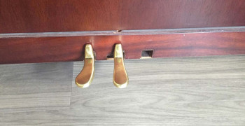 Thumbnail photo by Olesya of Triple 7 Movers