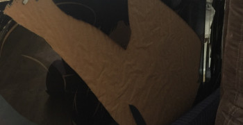 Thumbnail photo by Joy Partee of Cross Country Moving Group