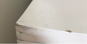 Second thumbnail photo by Joni Sweet of FlatRate Moving