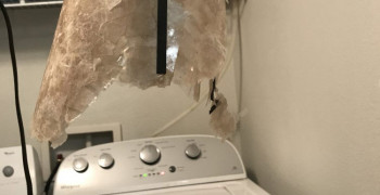 Second thumbnail photo by Logan of Long Distance Relocation Group Inc