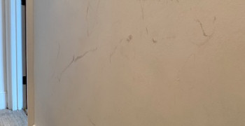 Second thumbnail photo by Yuki Sumner of AnyVan