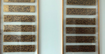 Thumbnail photo by Emma Chesterton of Links Moving