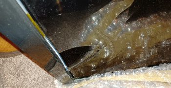 Thumbnail photo by Wini Jenkins of USA Logistics Moving