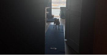 Thumbnail photo by Joy Siao of Roadway Moving