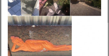 Thumbnail photo by Phoenix Nandori of CBD Movers AU