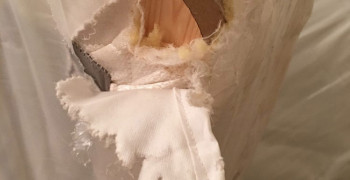 Thumbnail photo by Tien Bui of International Van Lines