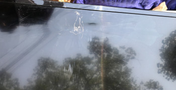 Thumbnail photo by Mario Davila of A1A Moving and Storage