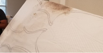 Second thumbnail photo by Jennie Campisi of Transit Systems Inc