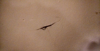 Second thumbnail photo by Steven Frost of 495 Movers