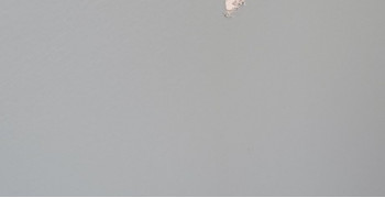 Second thumbnail photo by Terrance Riley of Right A-Way Movers