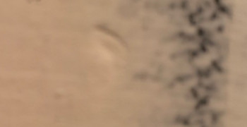 Second thumbnail photo by Lisa Emmons of College Hunks Hauling Junk & Moving