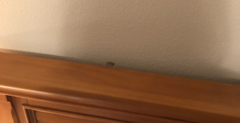 Second thumbnail photo by Marissa Cruz of All My Sons Moving and Storage