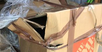 Thumbnail photo by Patti Fredrickson of Oasis Moving and Storage