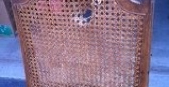 Thumbnail photo by Alissa Buethe of World Wide Van Lines