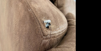 Thumbnail photo by Jorge Gonzalez of Mov2Day
