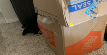 Thumbnail photo by Michelle Cortisse of Hawaiian Moving Pros