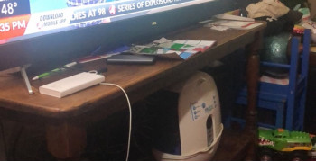 Thumbnail photo by Cheetah Baby of Upline Moving