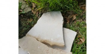 Second thumbnail photo by Shay Ed of Carlyle Van Lines