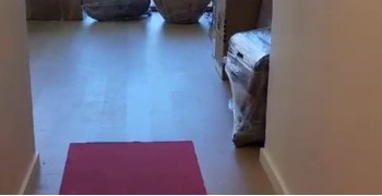 Thumbnail photo by Ben Mor of Cross Country Moving LLC